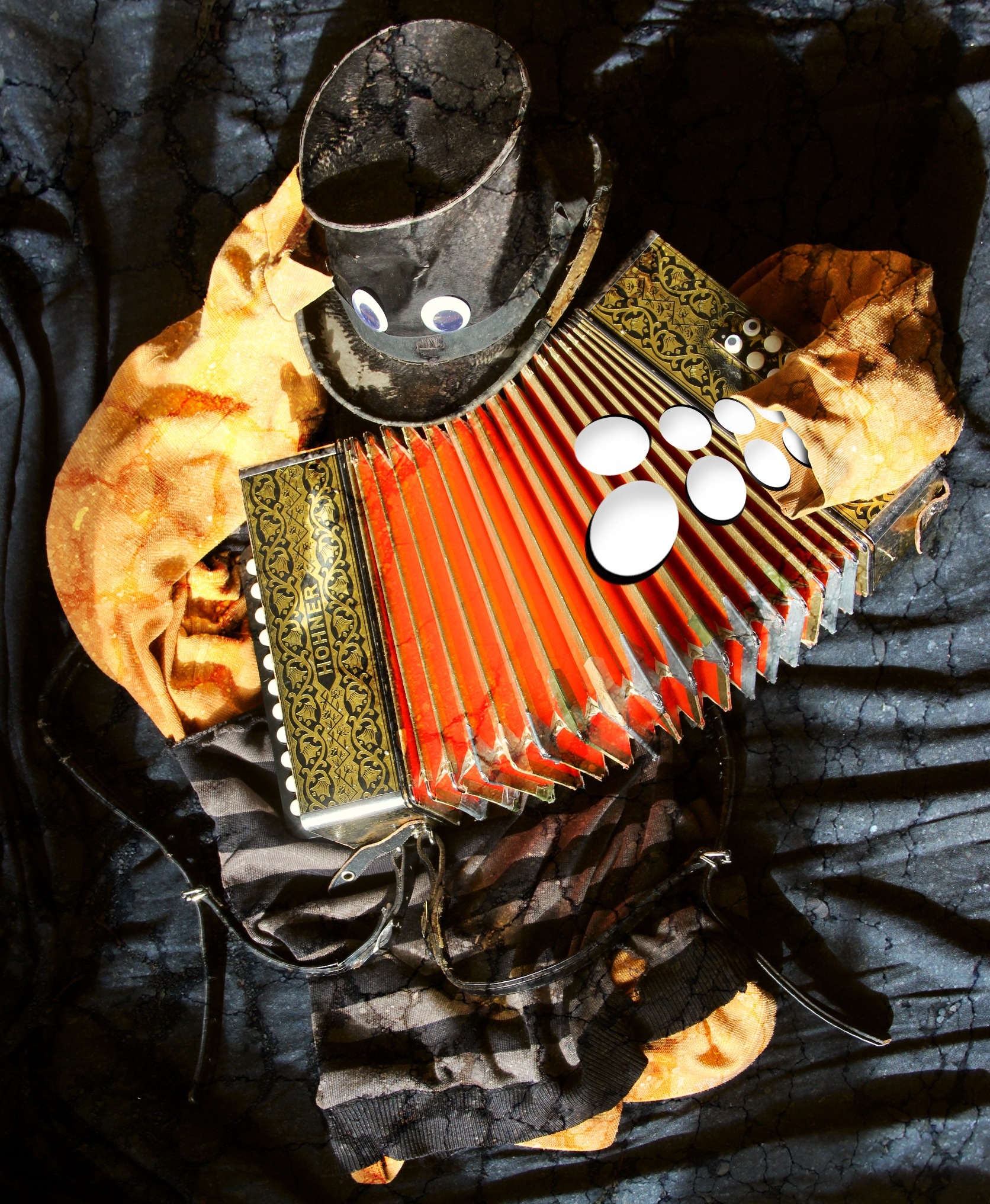 Accordéon décorné - Concert