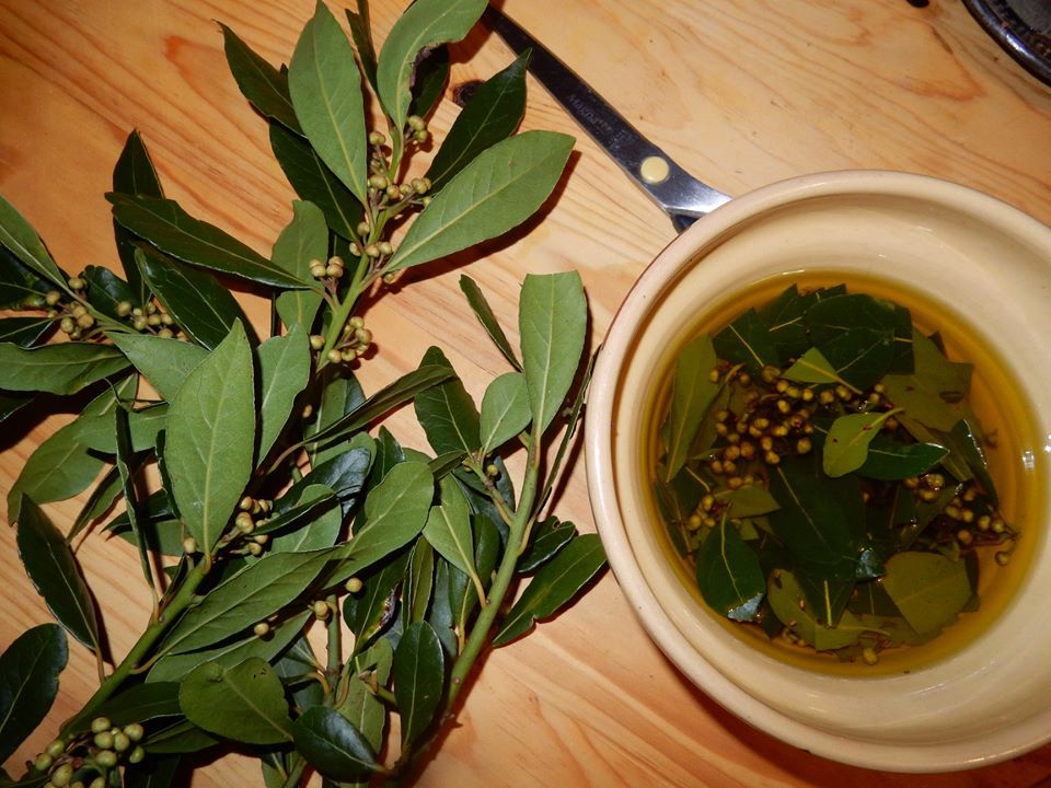 Balade plantes et vitalité