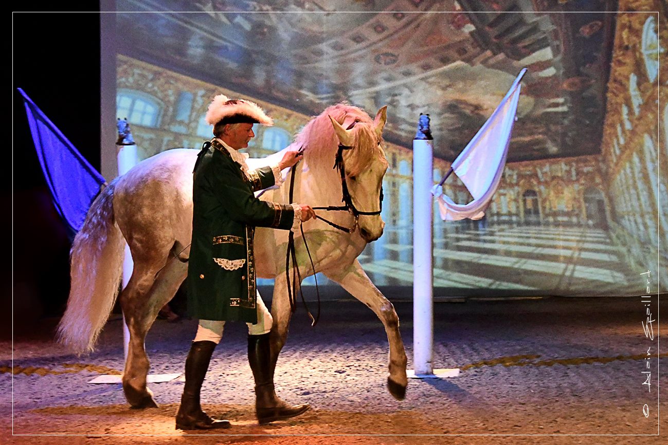 Les Chevaux du Roi Soleil
