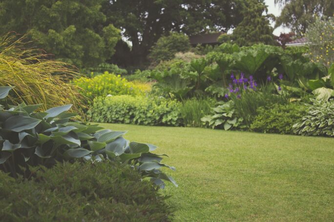 jardin
