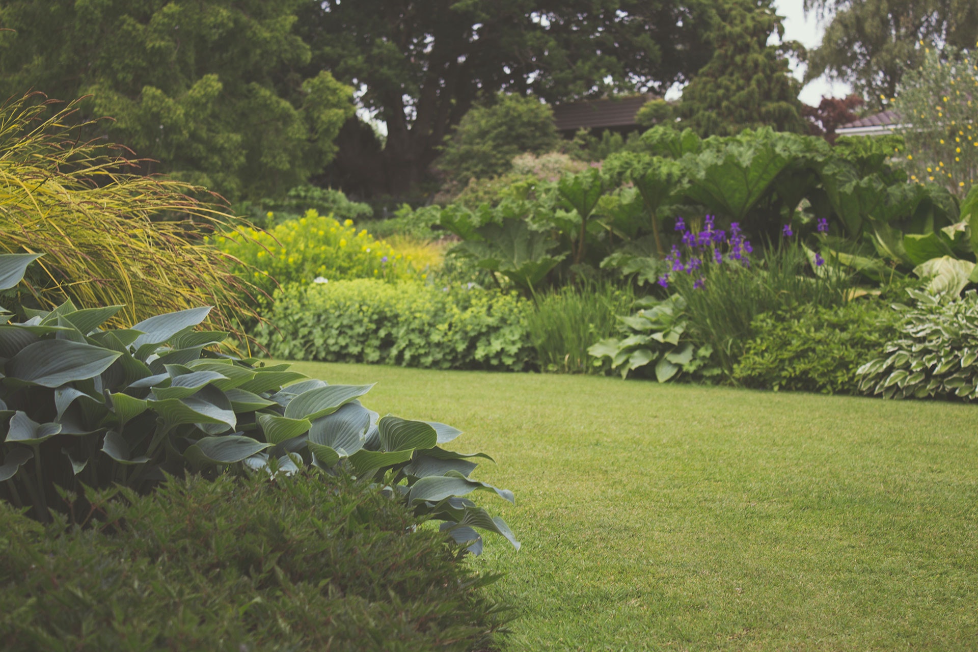 Visite de jardin au naturel