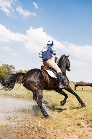cheval