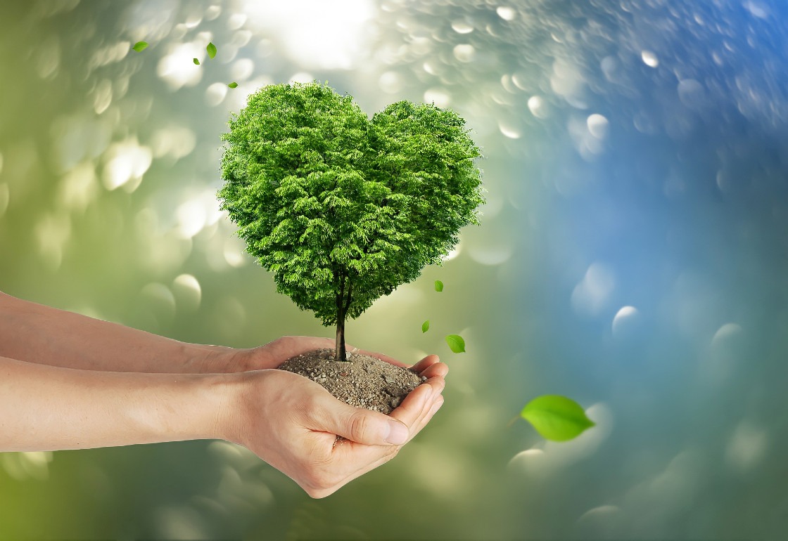 Conférence "Les arbres et le réchauffement climatique : quelle forêt pour demain ?"