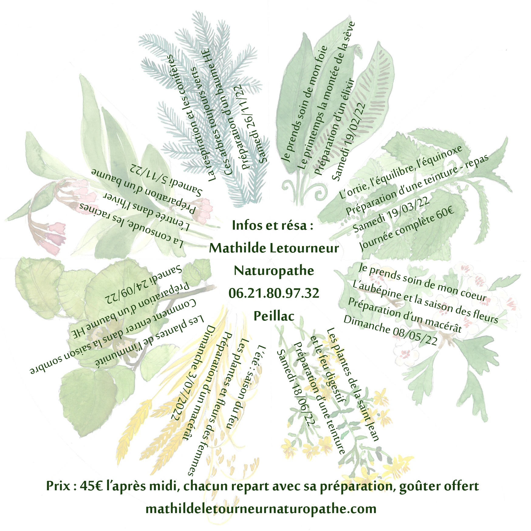 Atelier plantes et vitalité