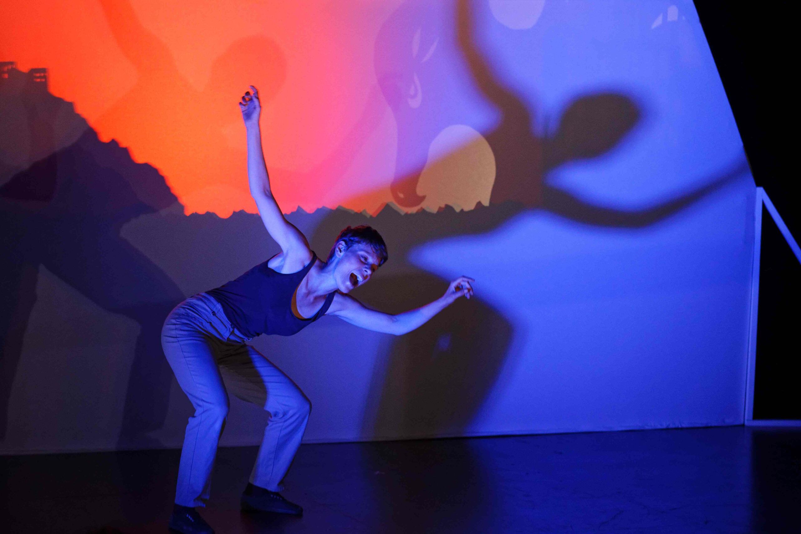 Niviaq : spectacle de conte et théâtre d'ombre