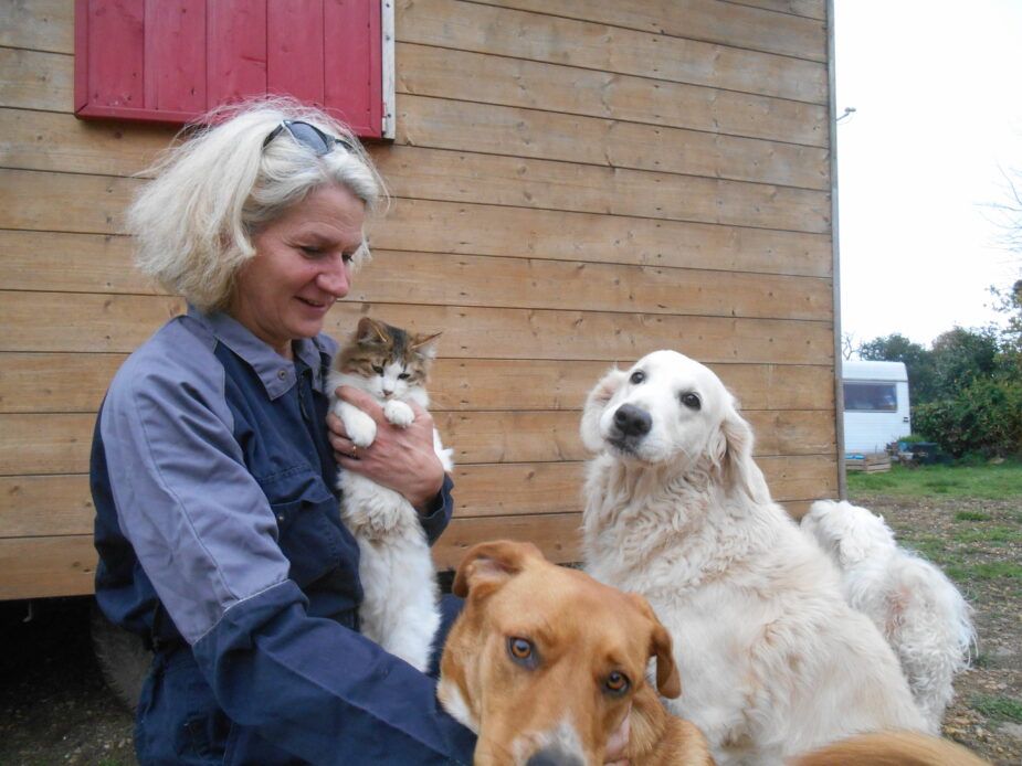 médiatrice animale