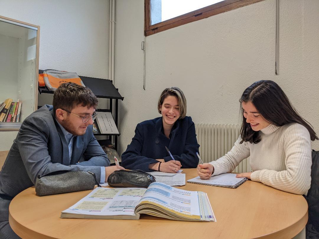 You are currently viewing BTS Management commercial et opérationnel