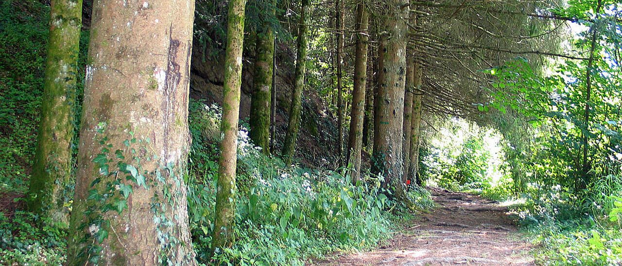 You are currently viewing Classe de 2de professionnelle nature-jardin-paysage-forêt