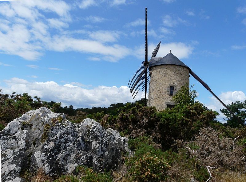 Visite guidée La fabuleuse histoire des pins de Saint-Jacut