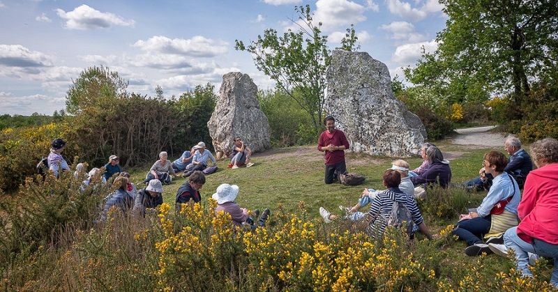 Visite guidée Mégalithes et landes : comprendre et rêver