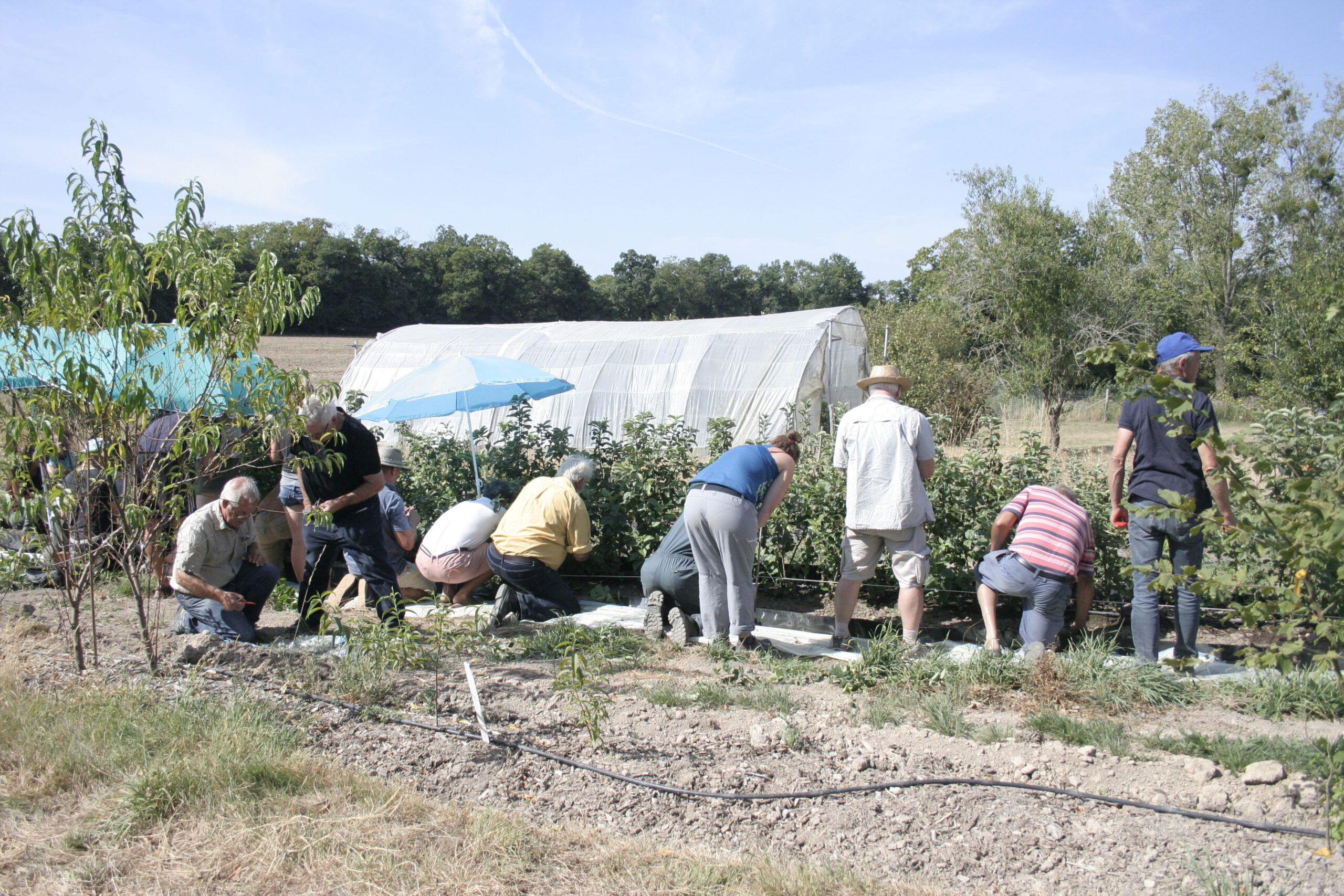 Stage de formation à l\'écussonnage