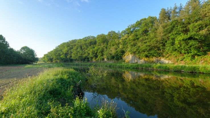 Découverte de l’espace naturel sensible de la Courbe