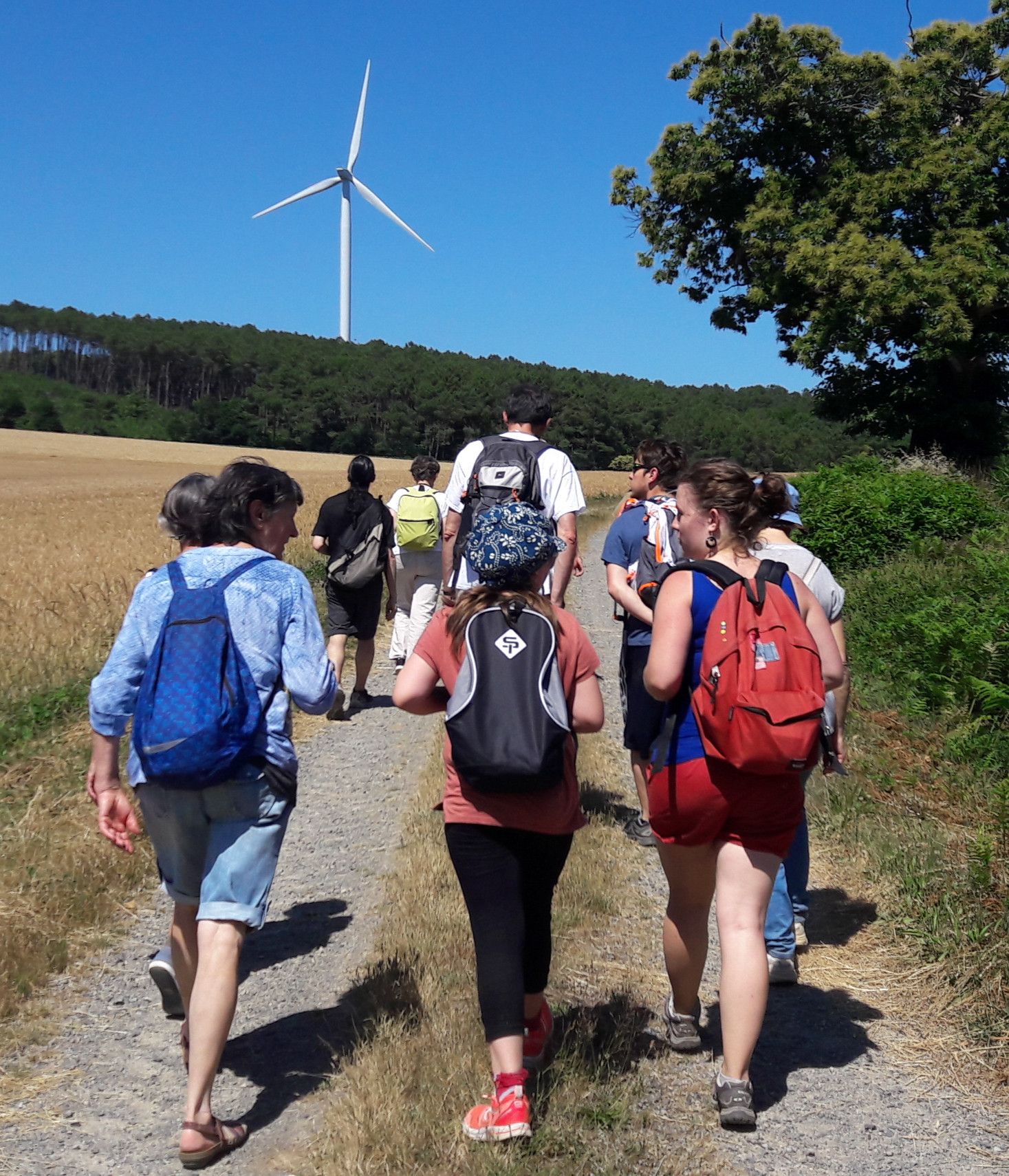 Balade autour des éoliennes et visite de mat