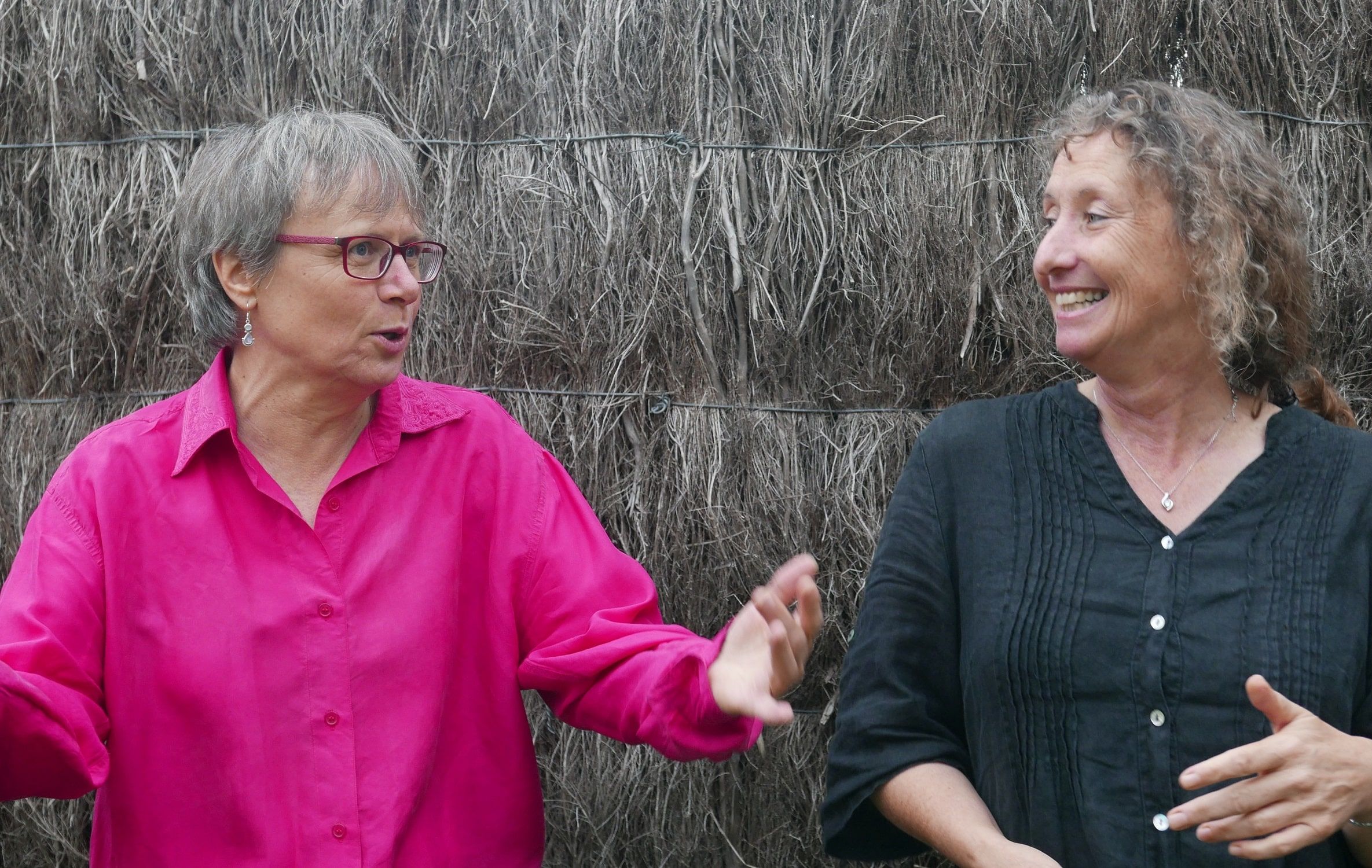 Françoise & Agnès, duo de chant trad’