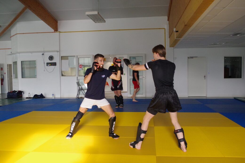 MMA Plessé