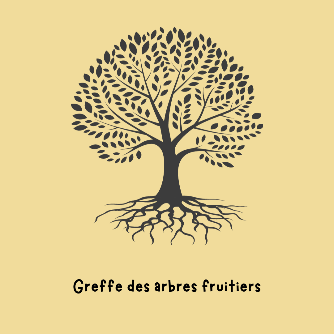 Formation greffe des Arbres Fruitiers