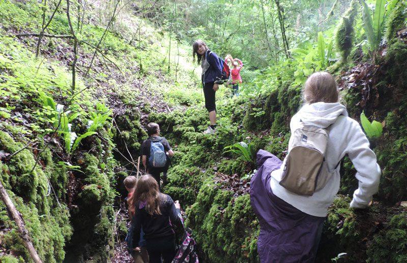 Club nature des 10-14 ans