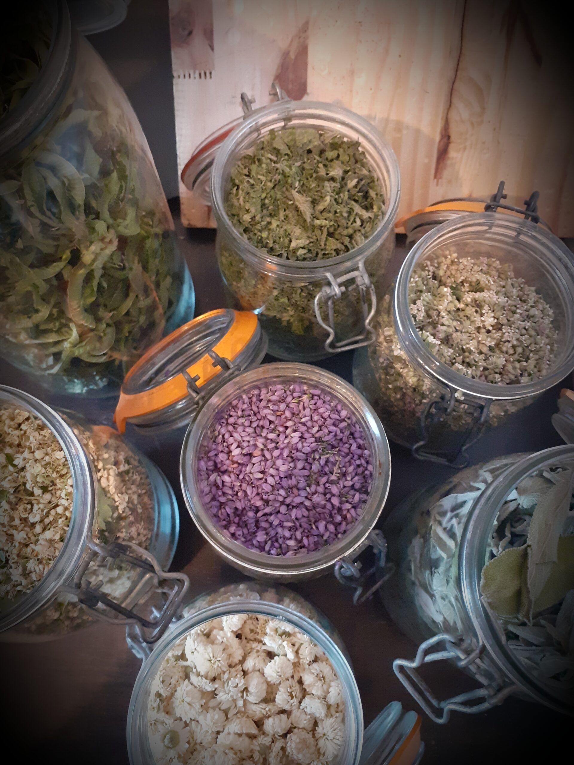 Atelier plantes des femmes