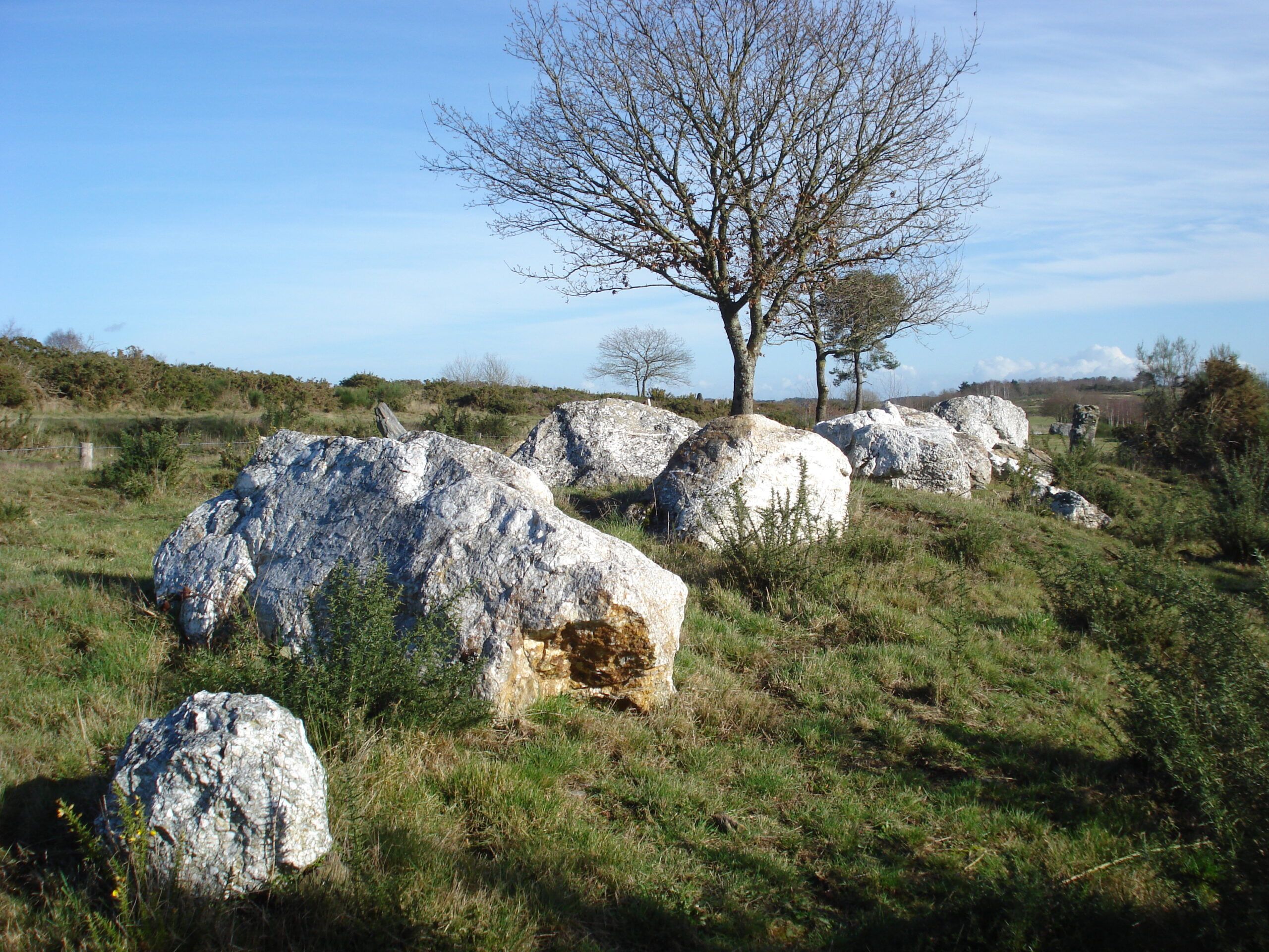 Atelier : palynologie, les environnements du passé