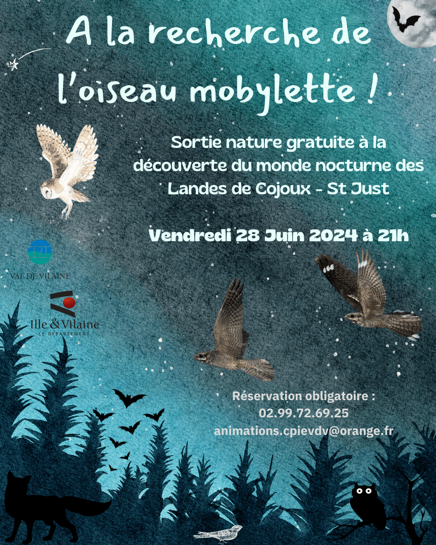 A la recherche de l'oiseau mobylette