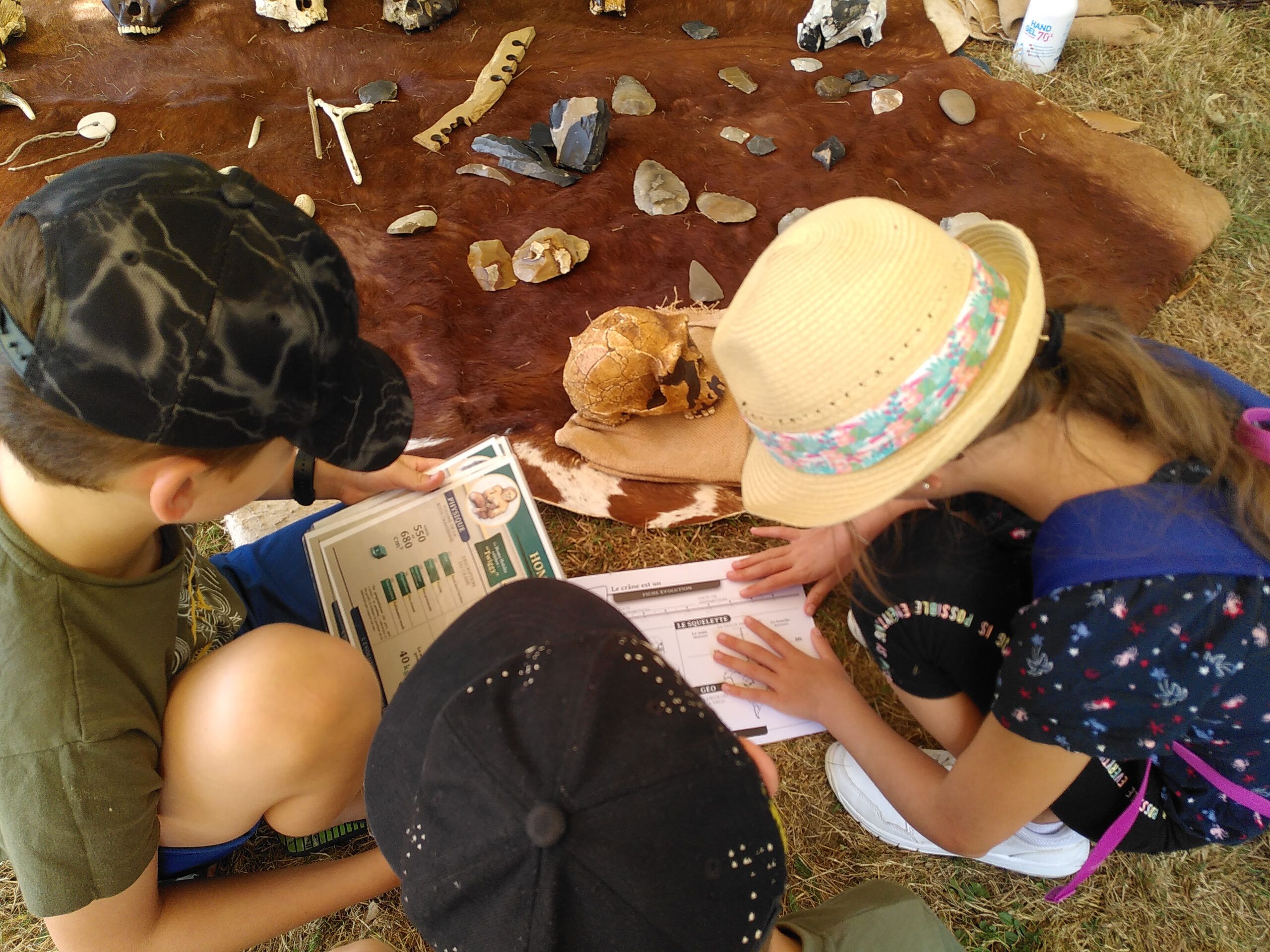 Atelier Évolution