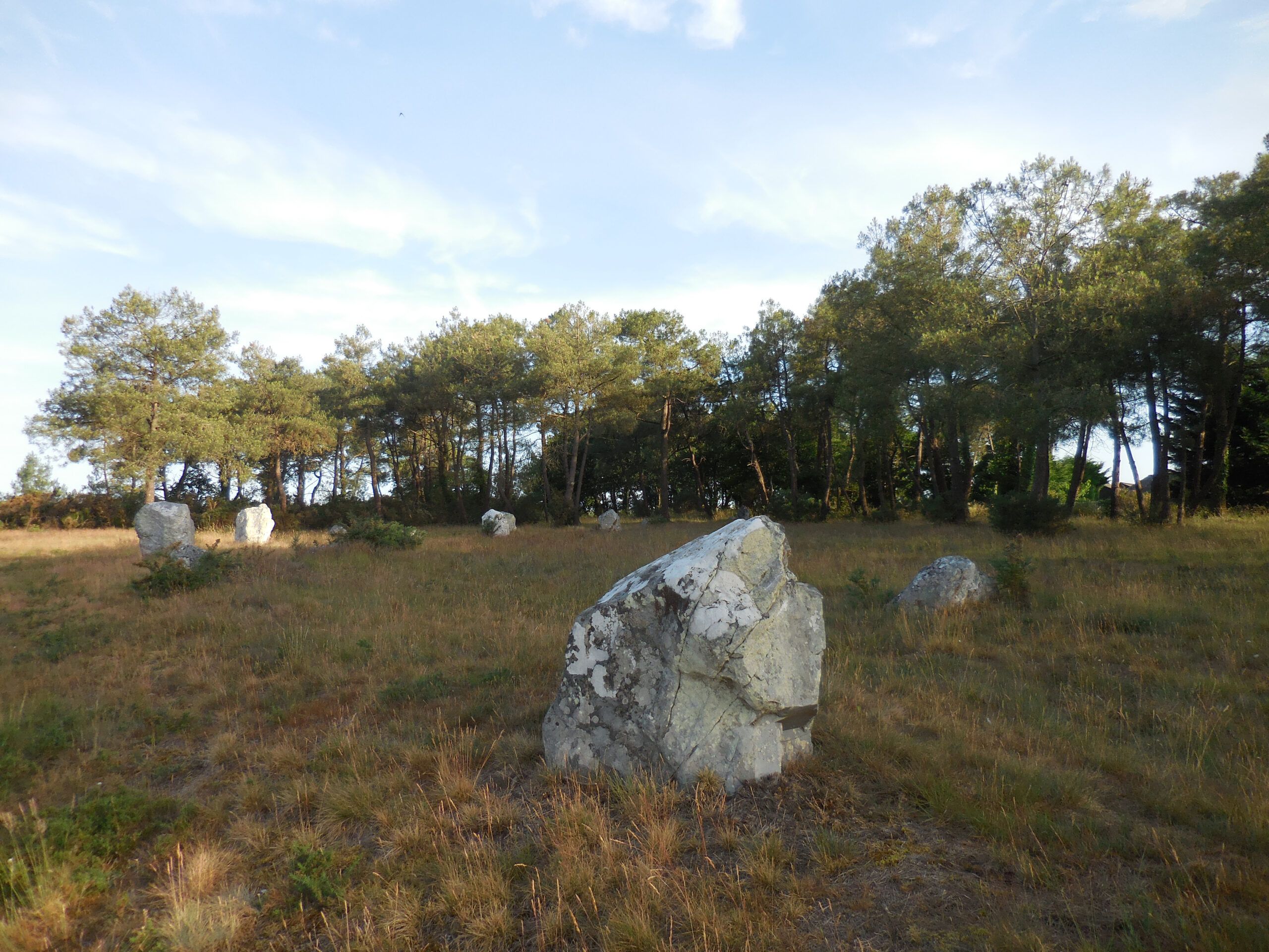 Visites des alignements