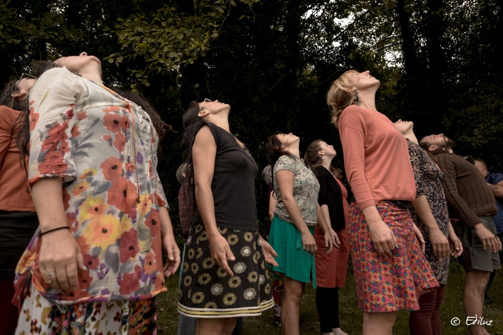 Atelier de danse en plein air