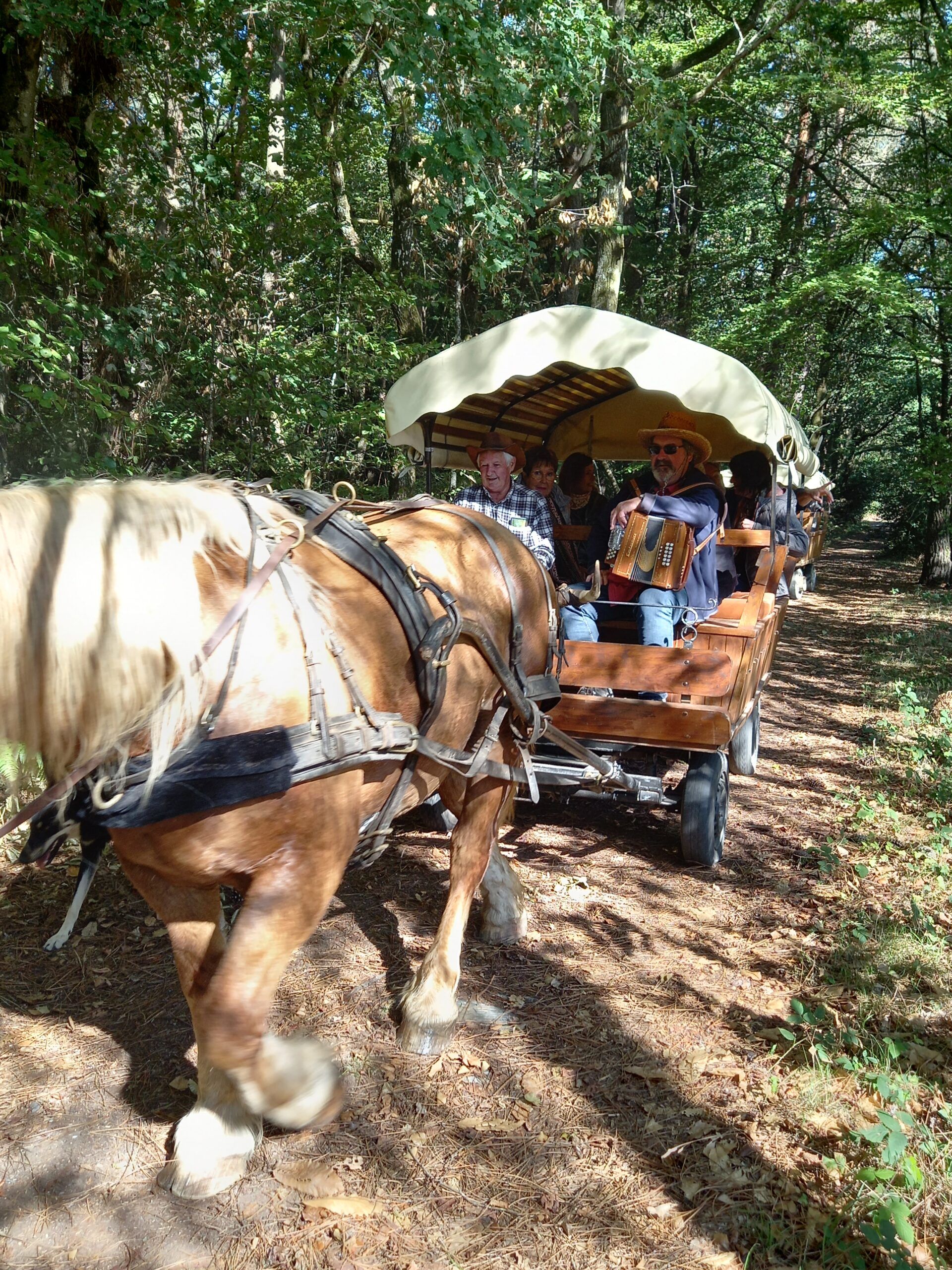 Balade en calèche (Festival Mil Goul)