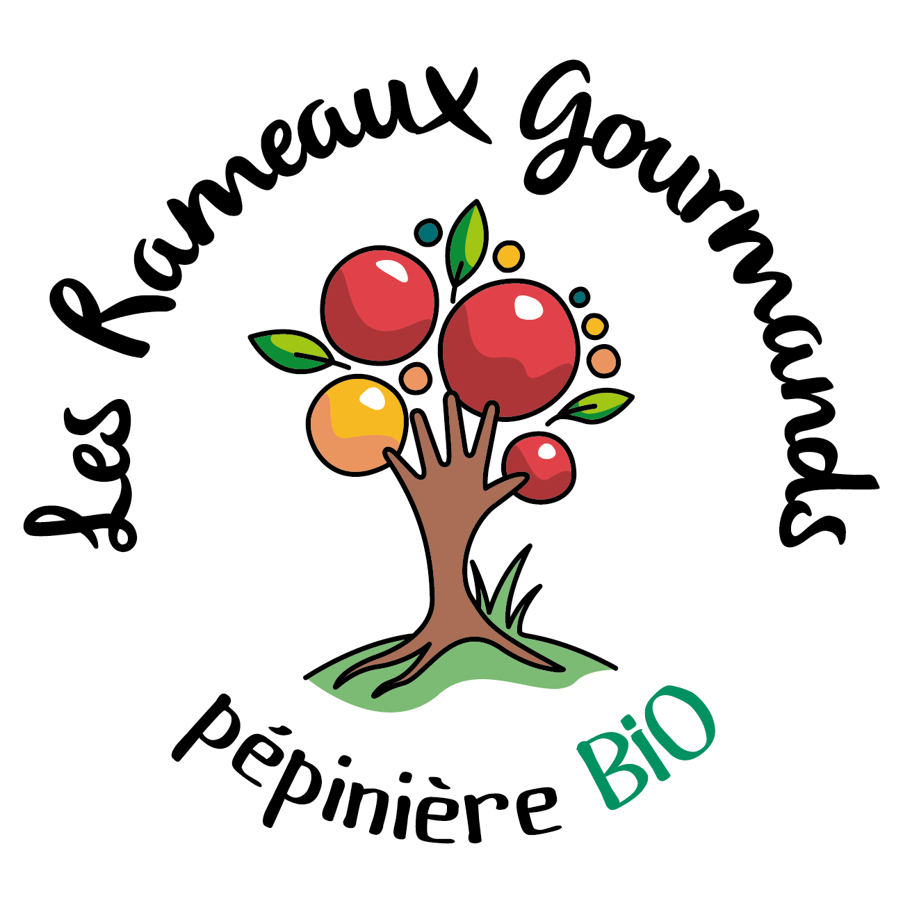 Visite d'une pépinière