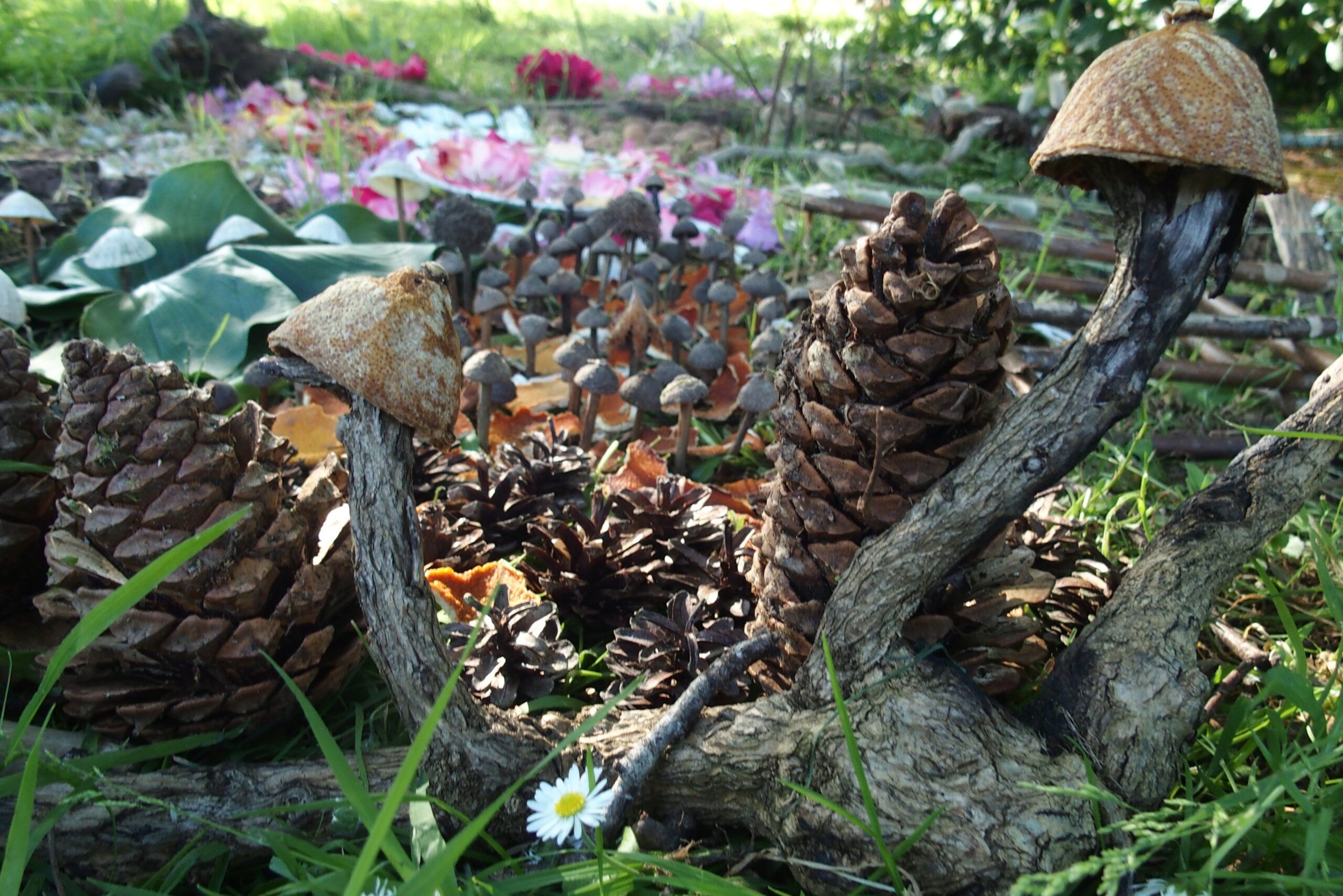 Bidouilles et patouilles de l'automne, pour petits et grands