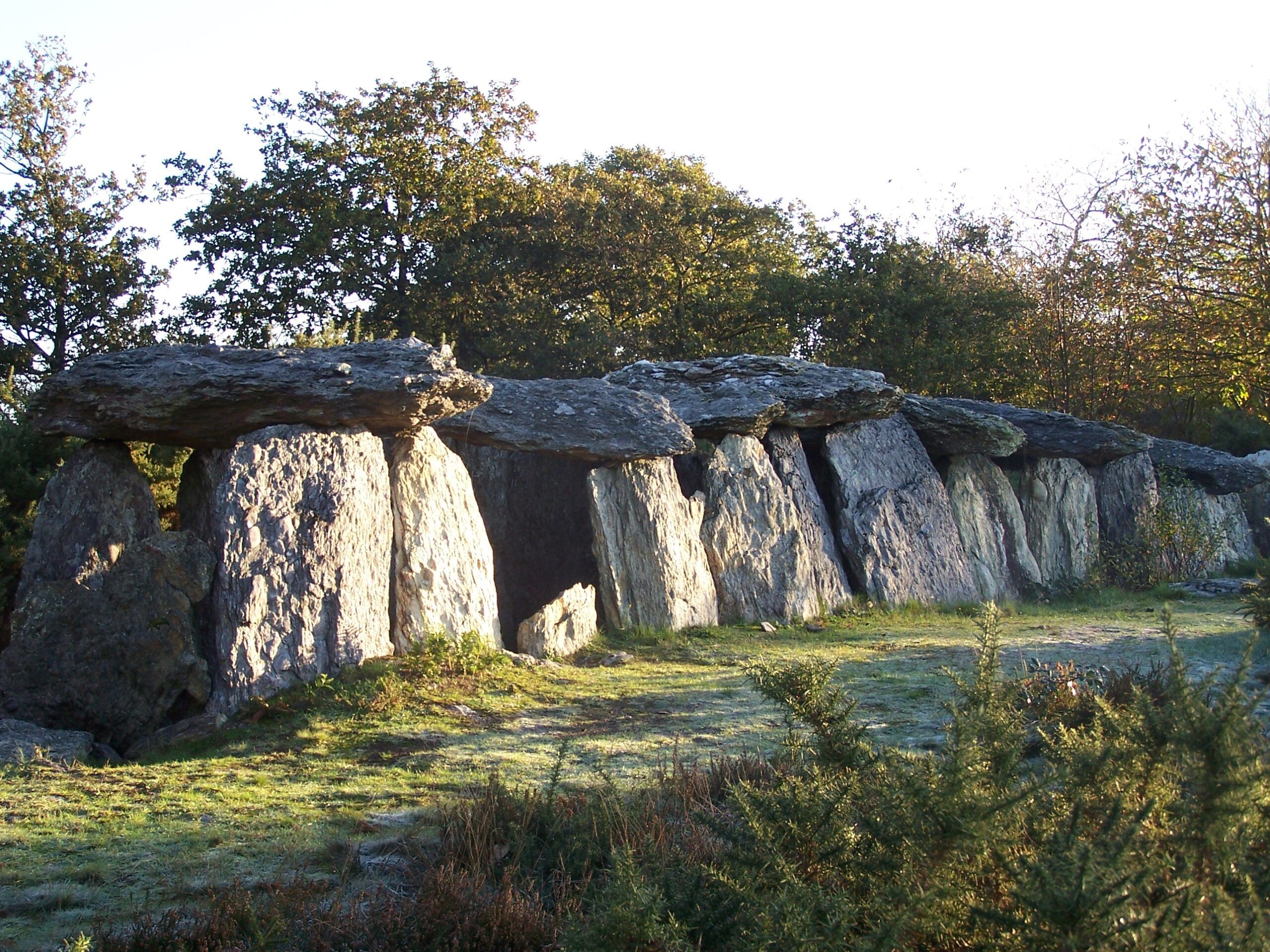 Sur les traces du paléo-environnement - Dolmen de Tréal - Fête de la science 2024