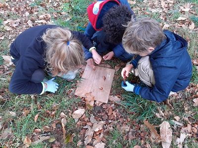Club nature des 6-9 ans