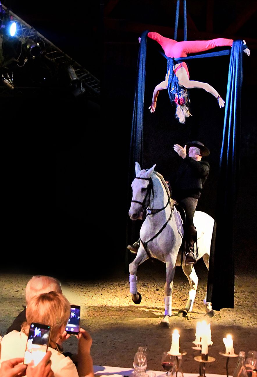 Cabaret équestre "Les chevaux dansent à la bodega"