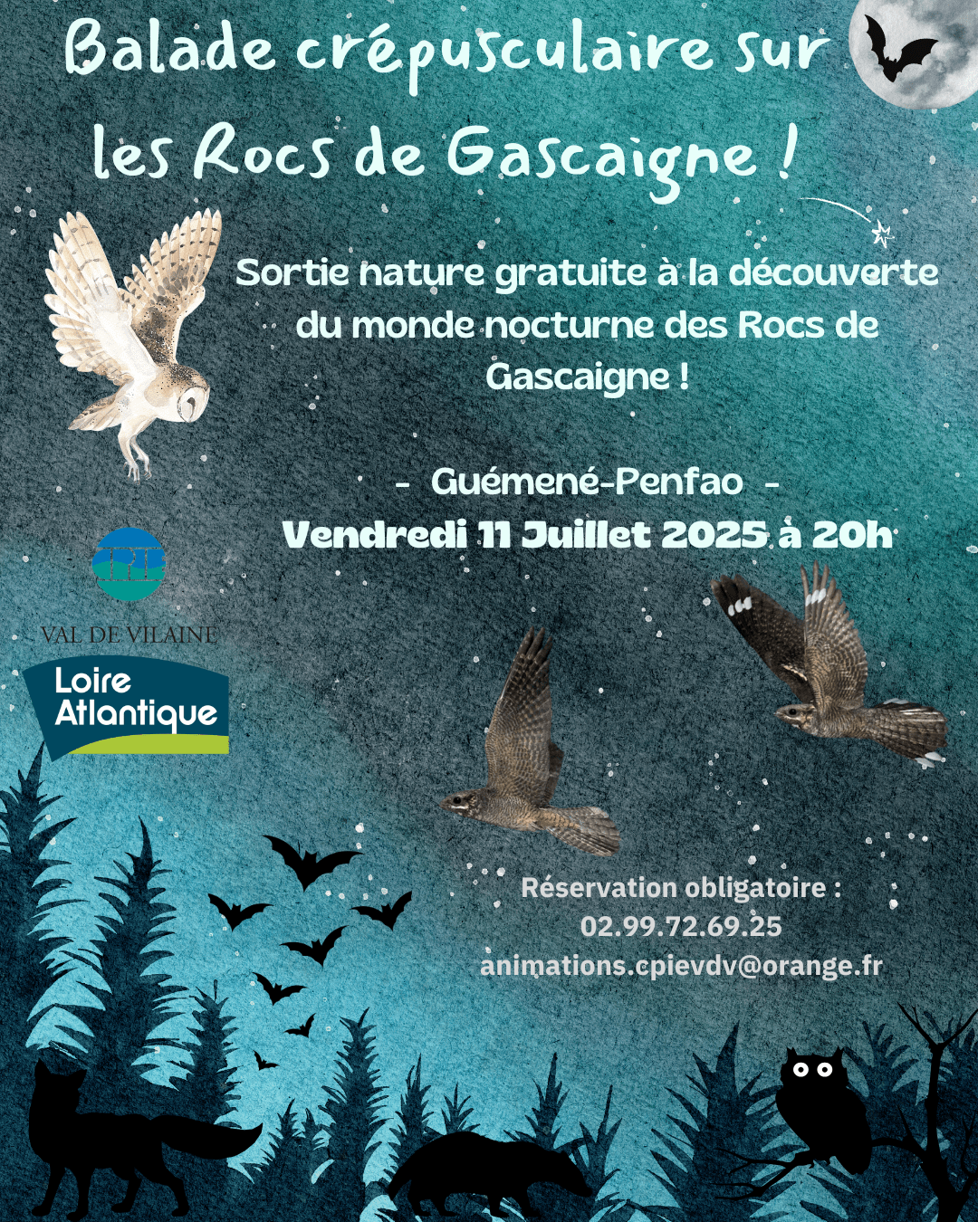Balade crépusculaire