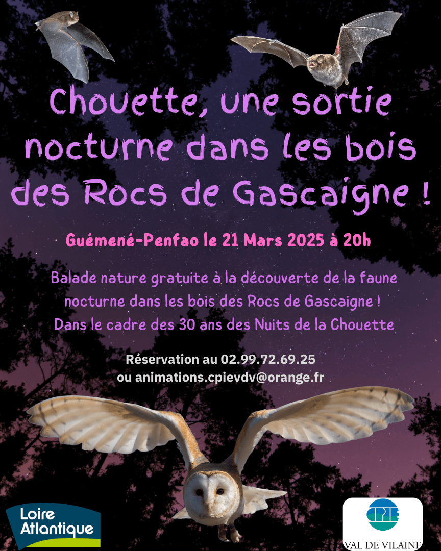 Chouette, une sortie nocturne aux Rocs de Gascaigne !