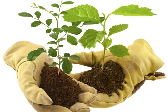 Troc-plantes