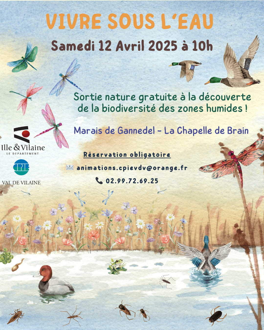 La Vie dans le marais de Gannedel