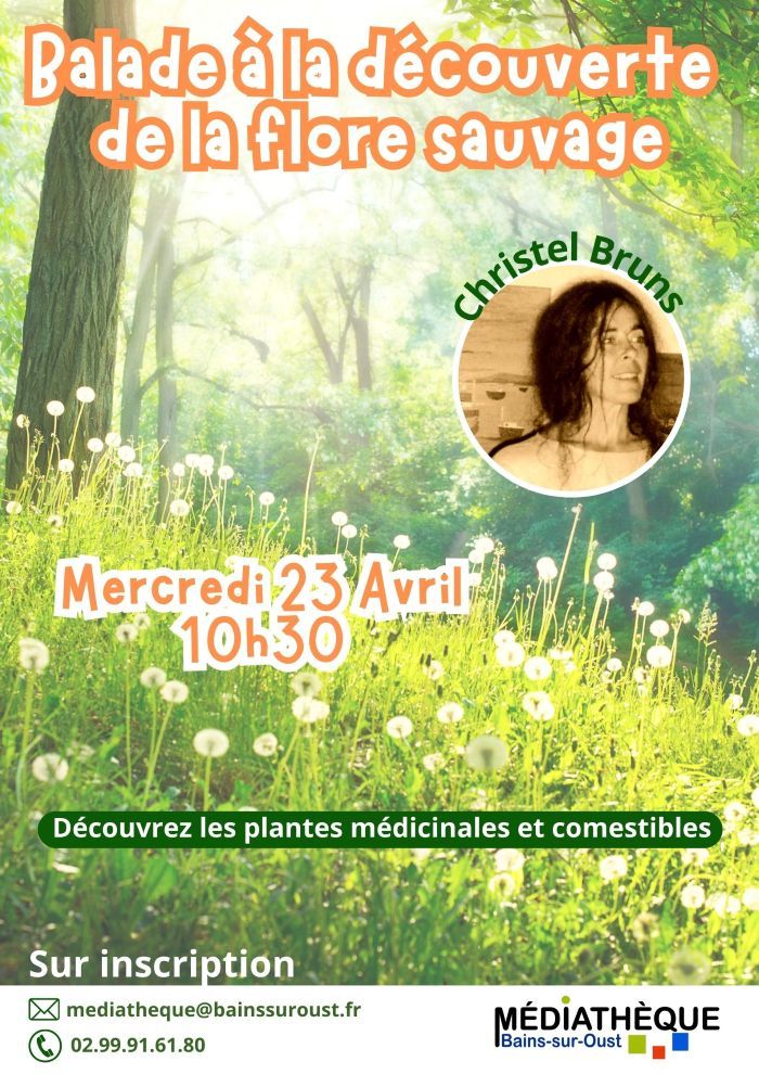 Balade à la découverte de la flore sauvage