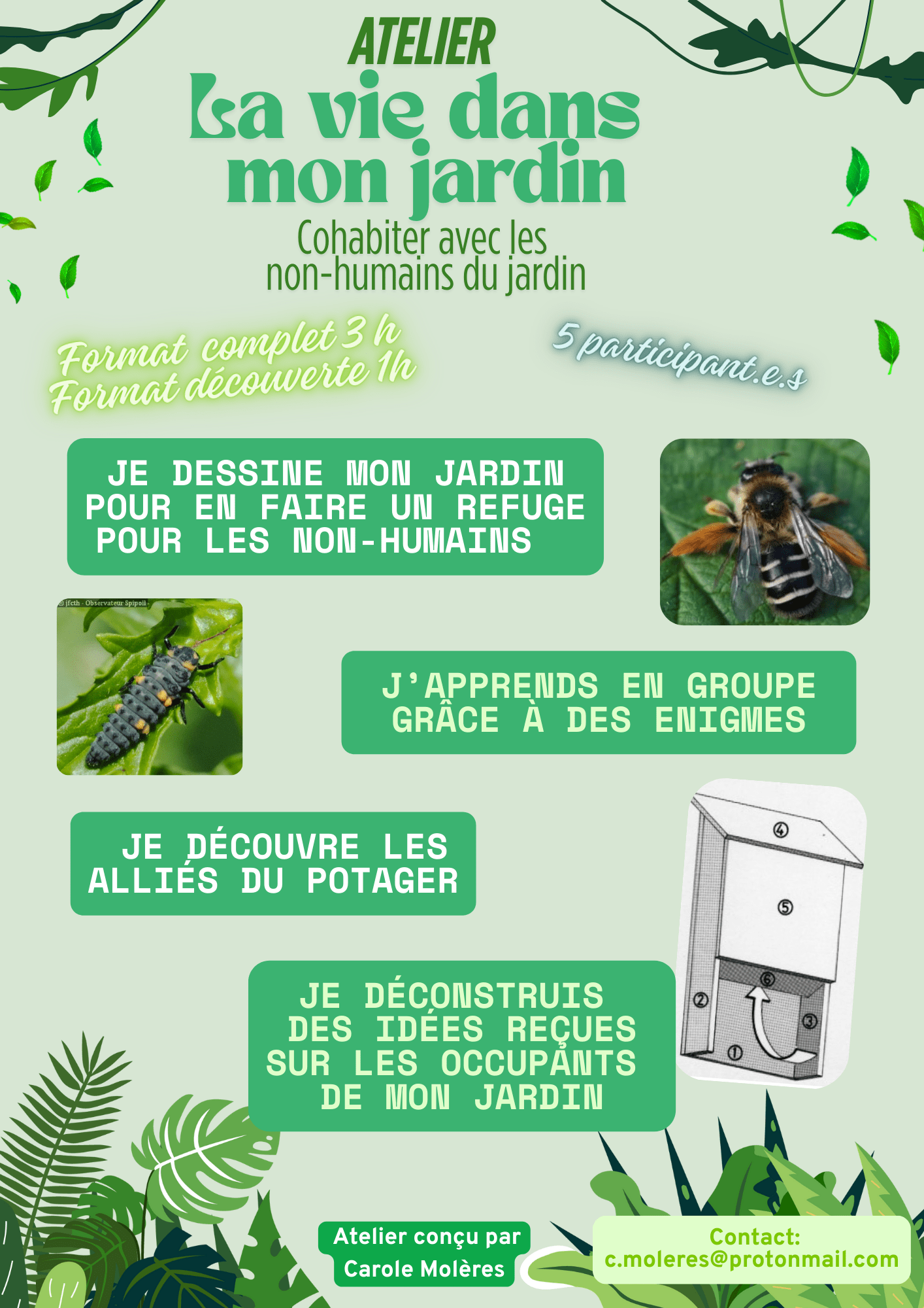 Atelier animé par Carole  "la vie dans mon jardin"