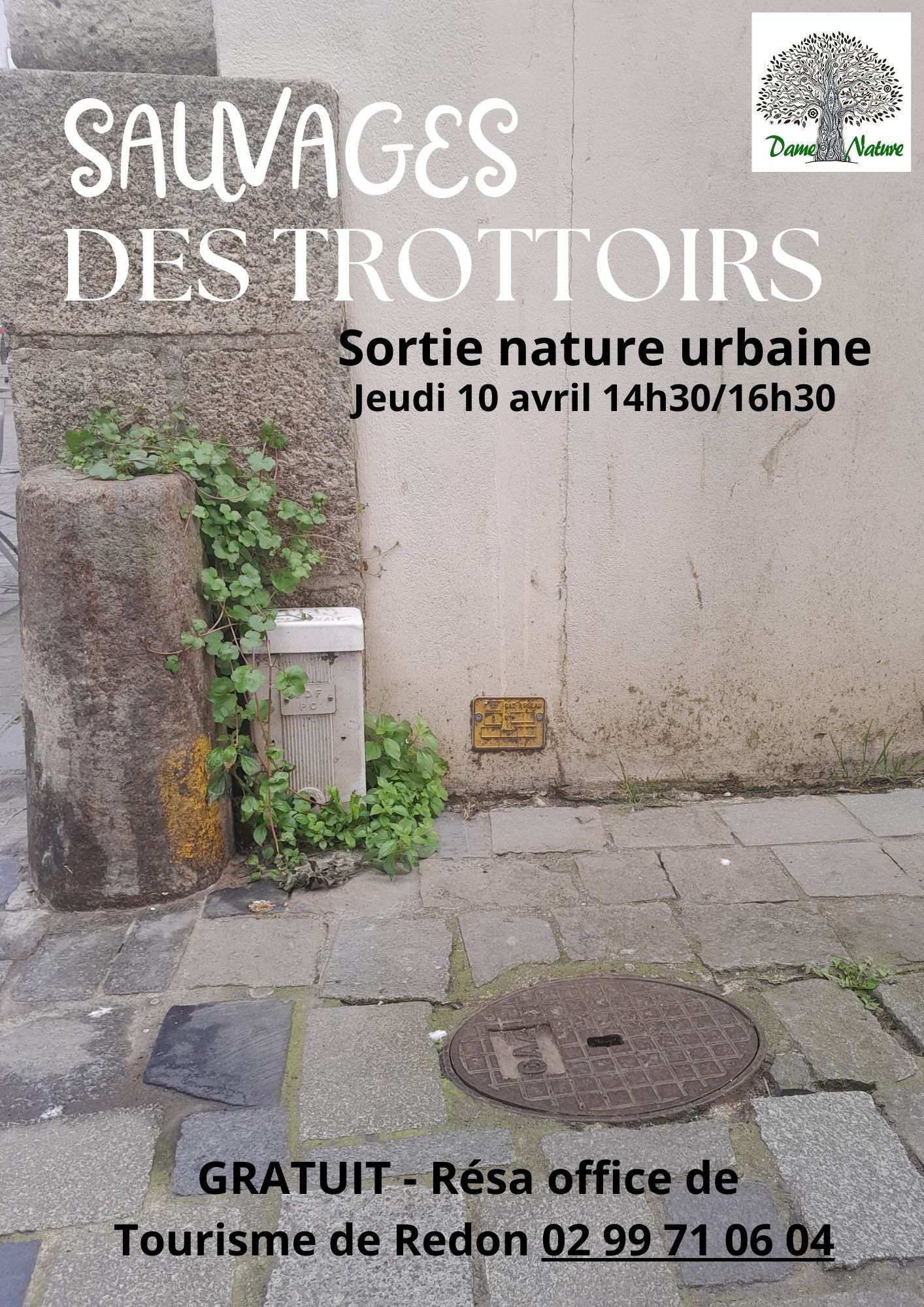 Sauvages des villes