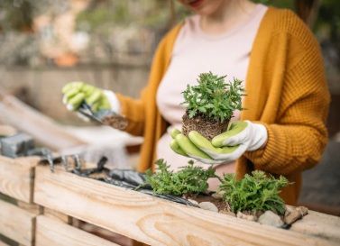 Atelier jardin