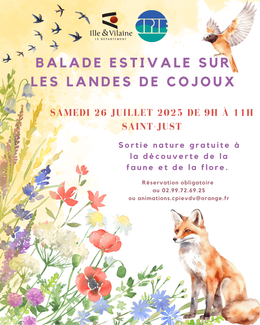 Balade Landes de Cojoux