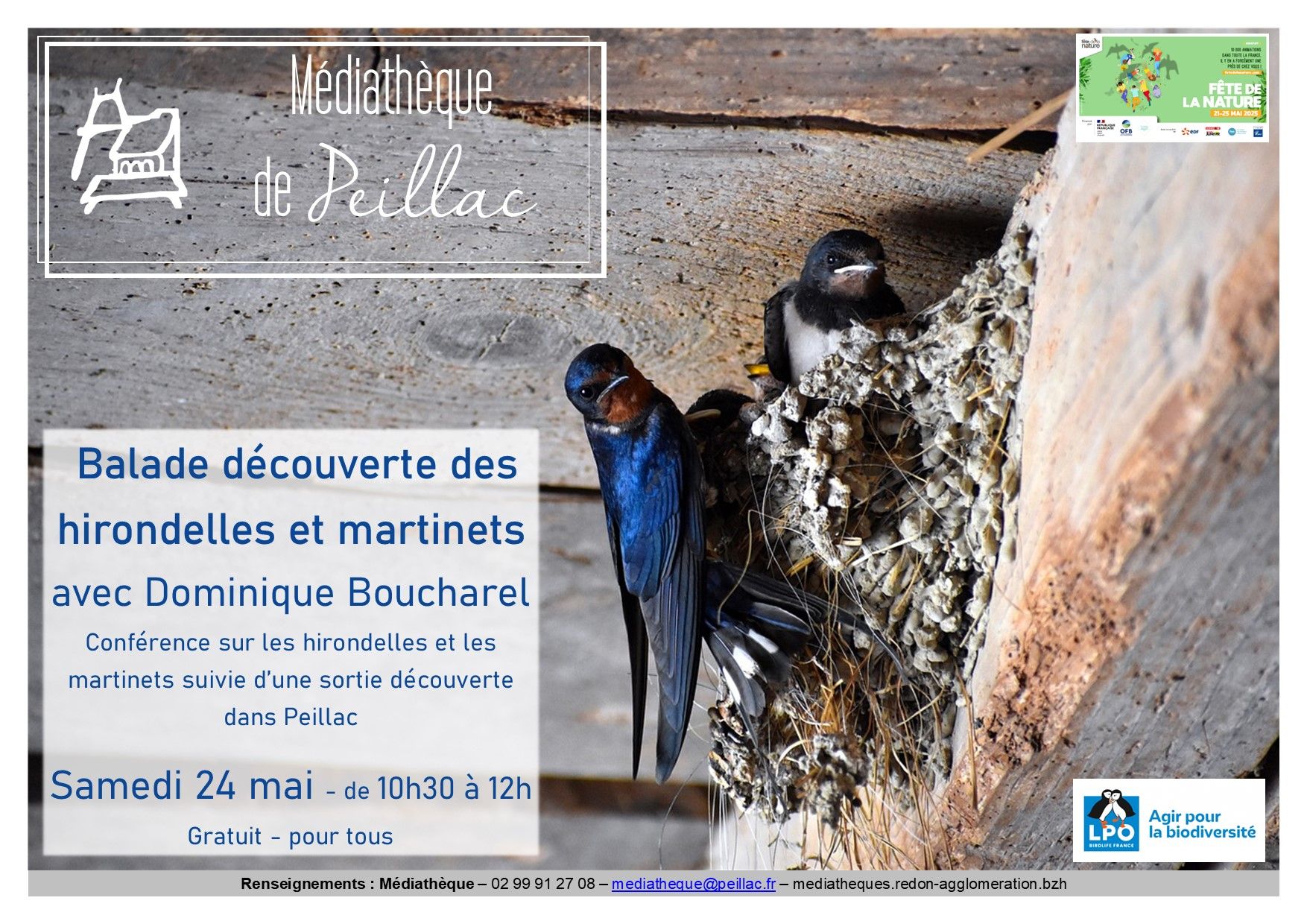 Fête de la nature : balade découverte des hirondelles et martinets
