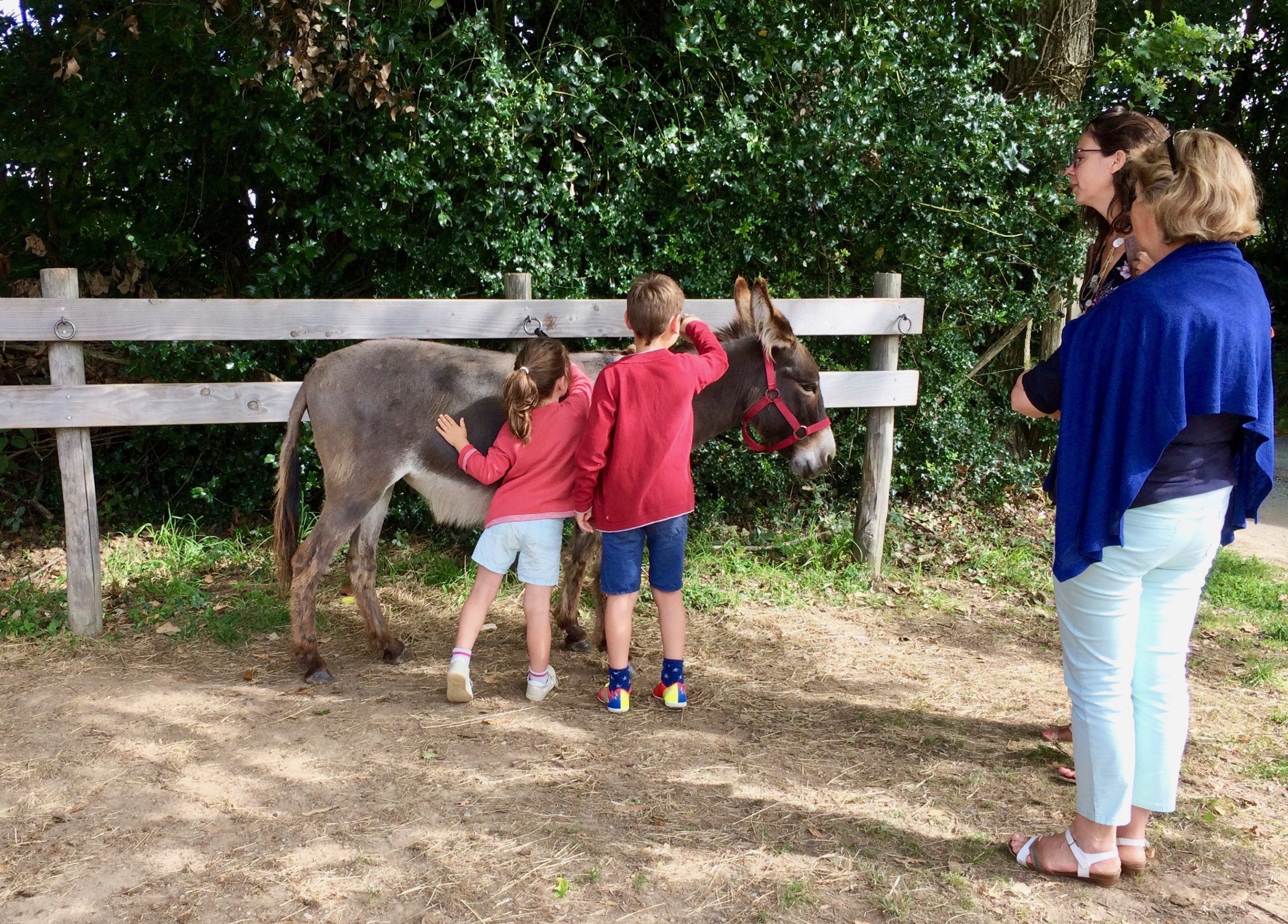 Atelier Enfants/adultes