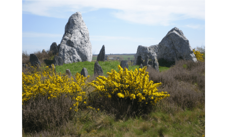 Visite "Mégalithes tour"