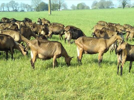 Visite d'une ferme