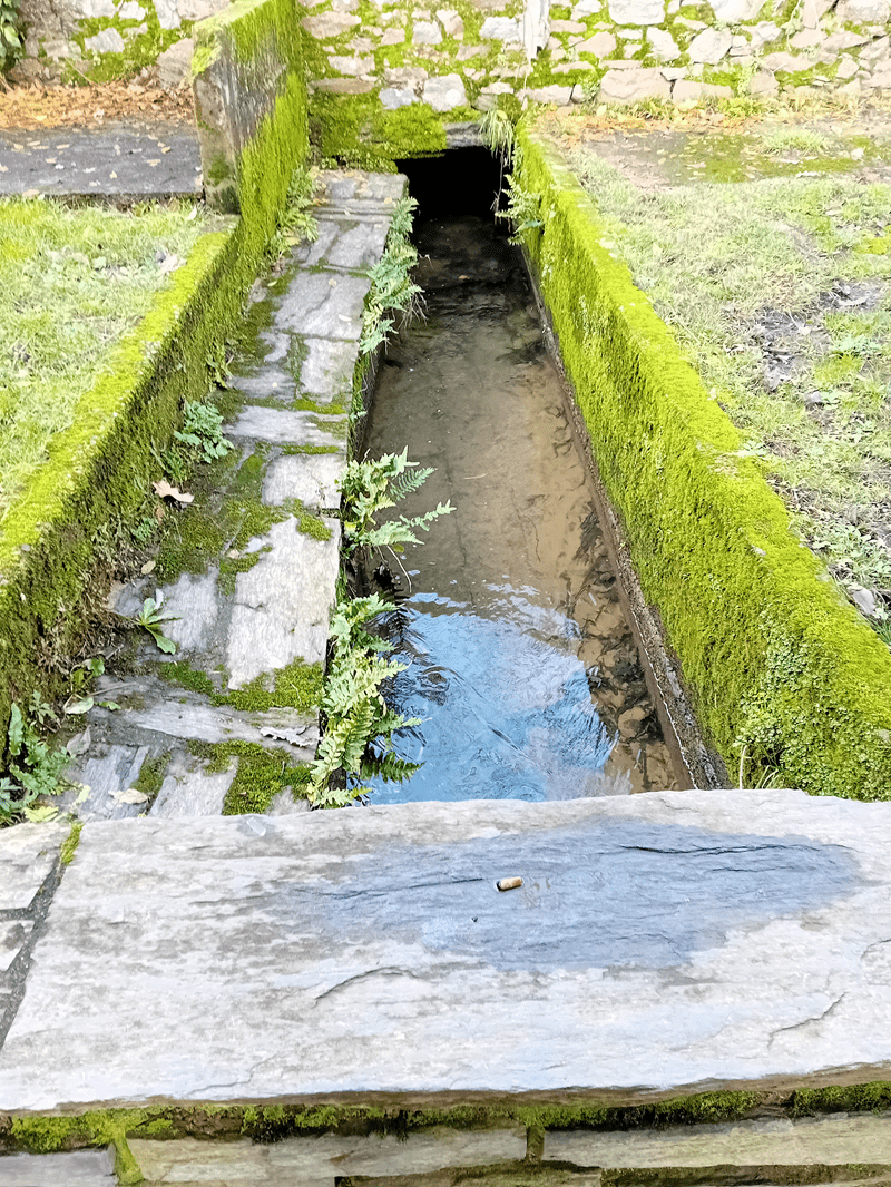 Mystères d’un ruisseau : Le Tuet