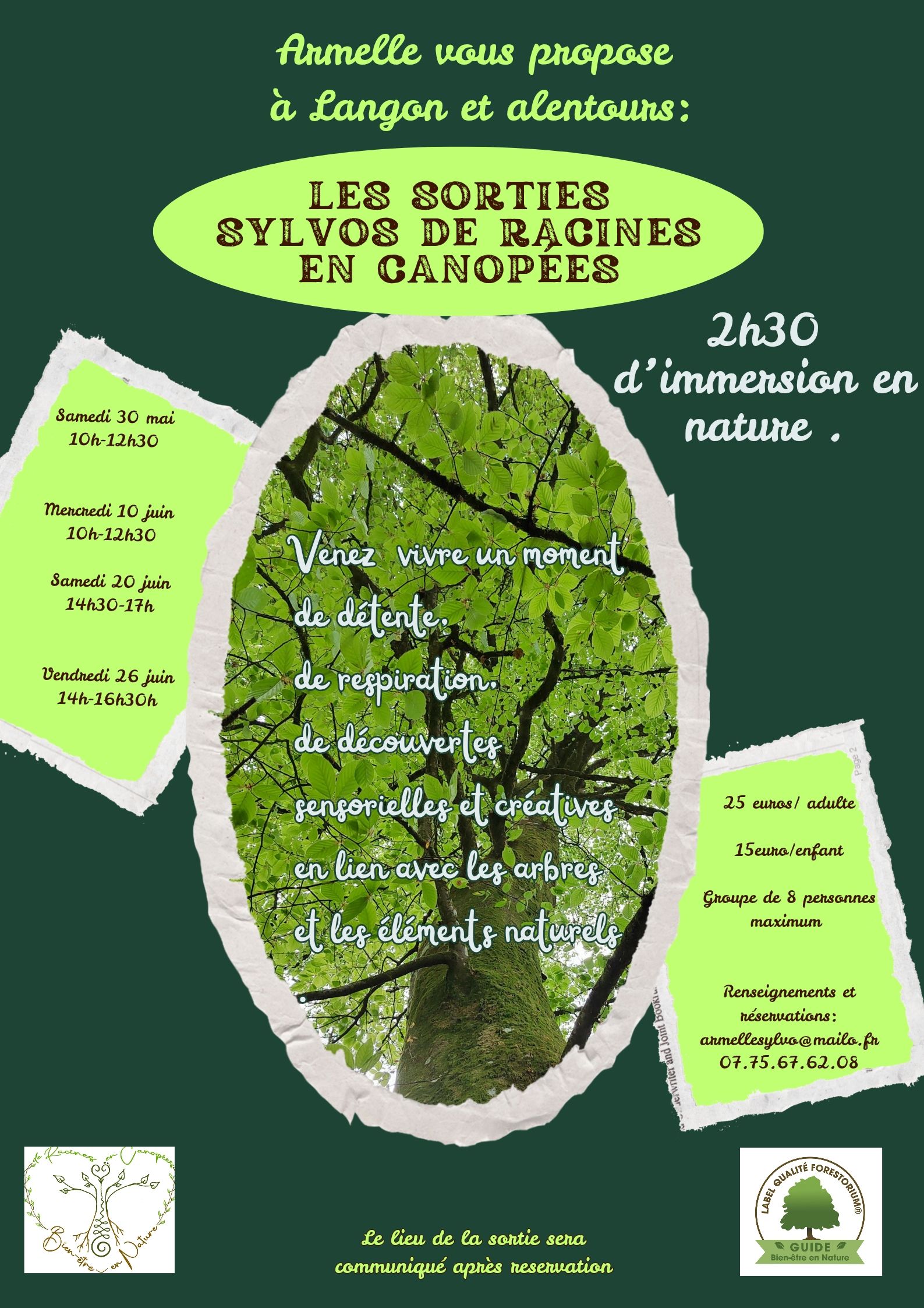Les sorties sylvo de Racines en Canopées