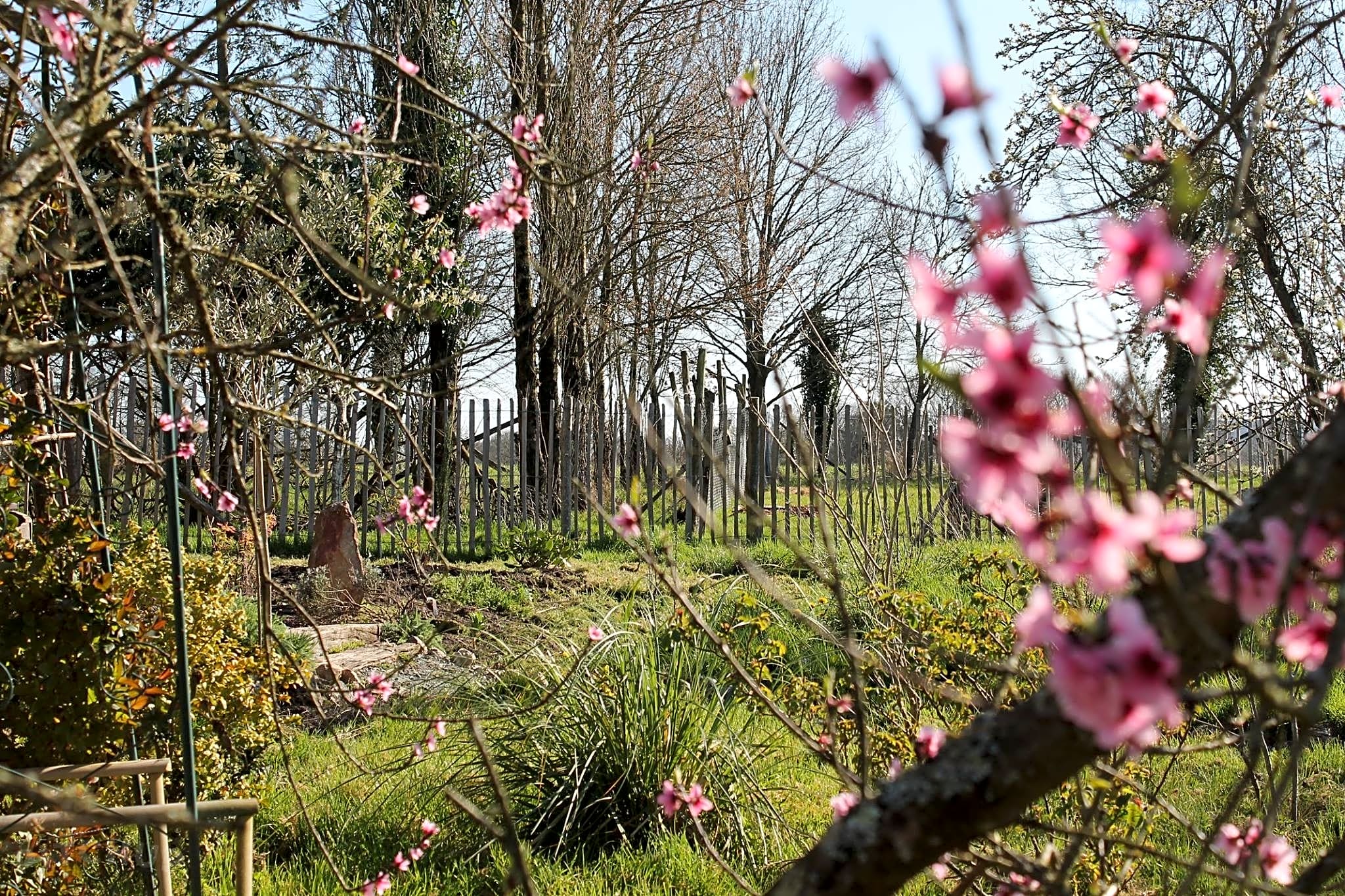Visite des Jardins de Koantiz