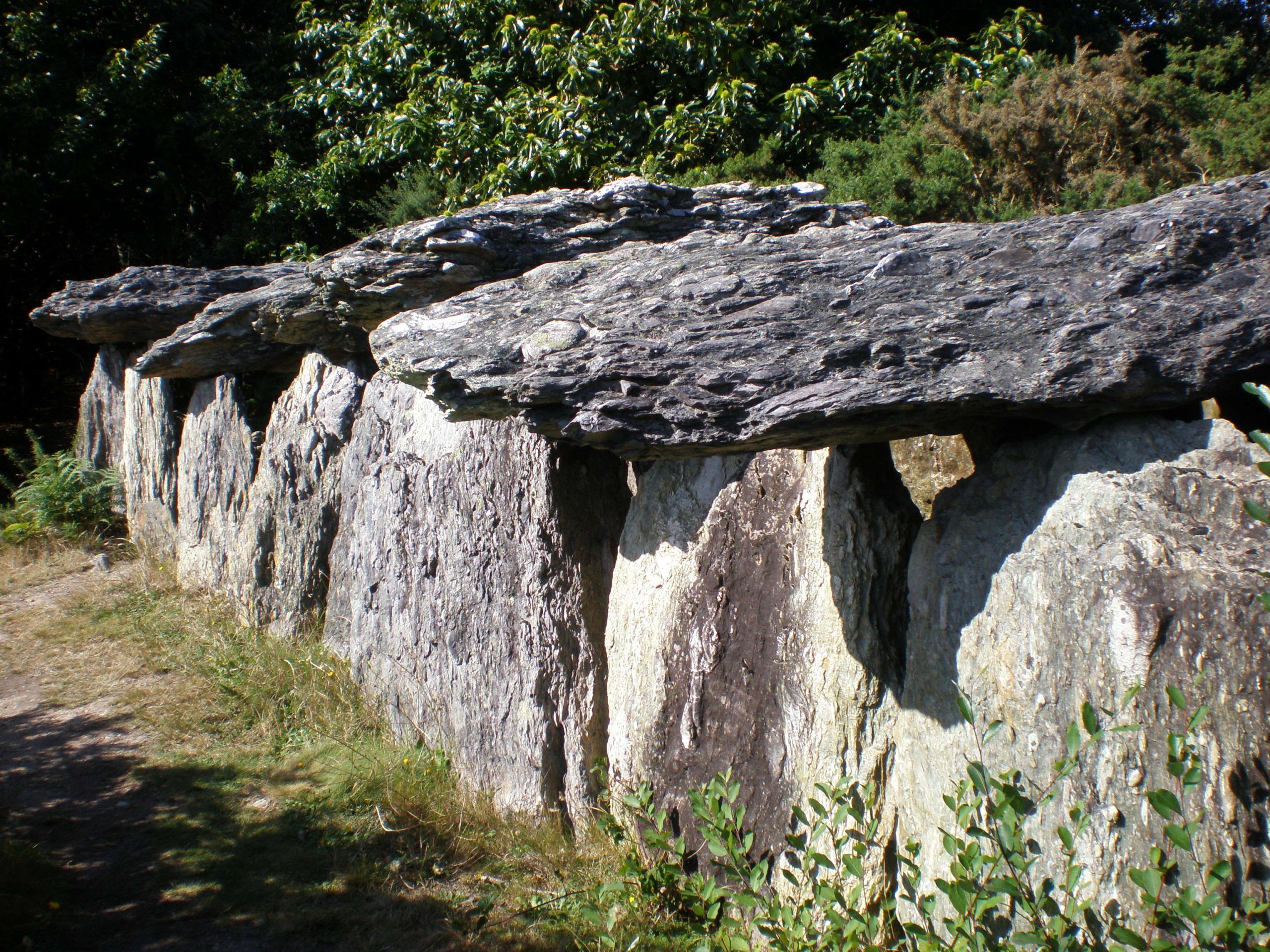 Le dolmen de Tréal - Visite